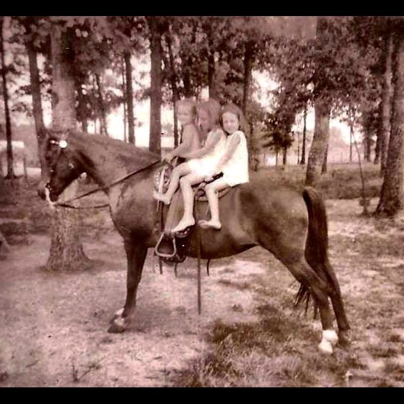 Meet your Posher, Amy - Picture 7 of 8